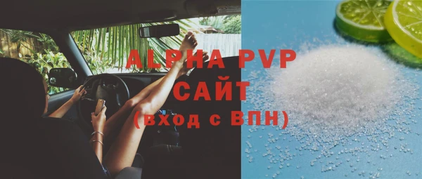 стаф Алексин