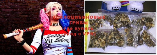 хмурый Алексеевка