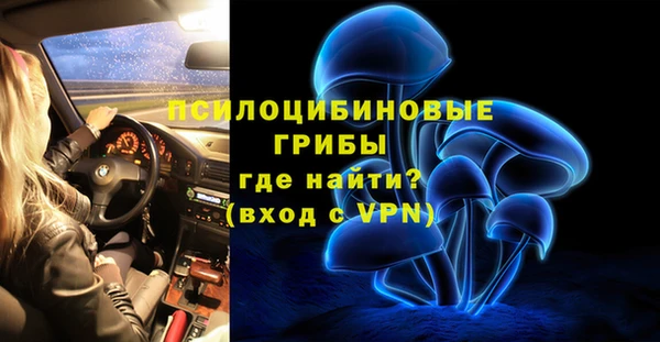 стаф Алексин