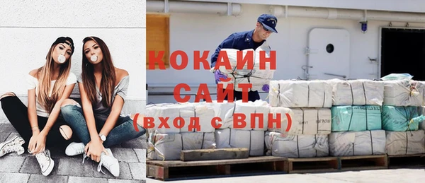 стаф Алексин