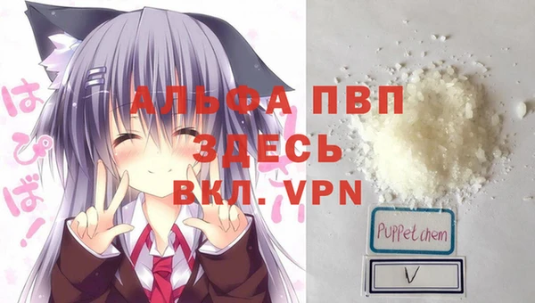 стаф Алексин
