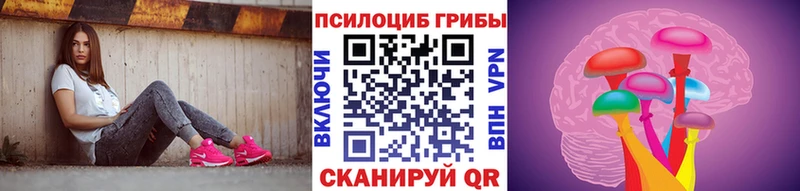 даркнет состав  Кирс  Галлюциногенные грибы GOLDEN TEACHER 